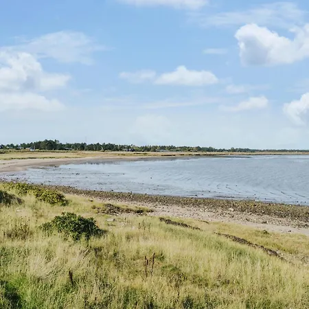 Pet Friendly In Romo With Kitchen Kongsmark