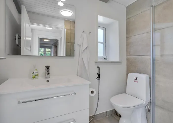 Pet Friendly In With Kitchen Romo