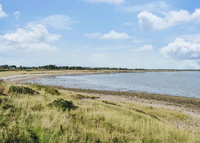 Pet Friendly In With Kitchen Romo